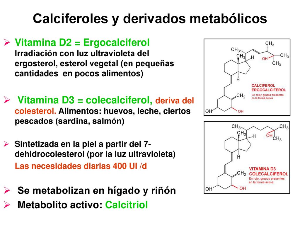 forma activa de la vitamina d